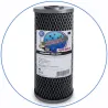 Σύστημα Φίλτρου Big Blue 10'' BBCSTCBLS10 της Aqua Filter με Διατομή Παροχής 1''