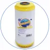 Σύστημα Φίλτρου Big Blue 10'' BBCSTCBLS10 της Aqua Filter με Διατομή Παροχής 1''