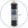 Φίλτρο Συμπαγούς Ενεργού Άνθρακα Gold Series 10” FCCBL-G