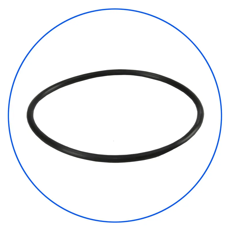O-ring Λαστιχάκι Φιλτροθήκης Big Blue OR-N-1524X57 της Aqua Filter